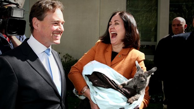 Environment Minister Greg Hunt and Liberal MPs Sarah Henderson meet a wallaroo for Threatened Species Day at Parliament House on Monday.