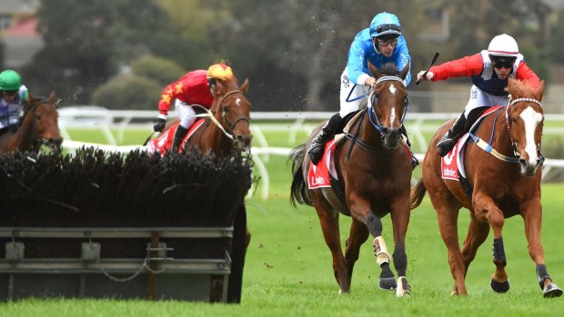 Arch Fire, with jockey Jamie Mott in blue, won last year's Australian Hurdle.