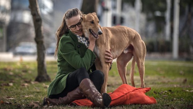 Zuzana O'Hanlon with her pet Argos, an ex-racing greyhound.