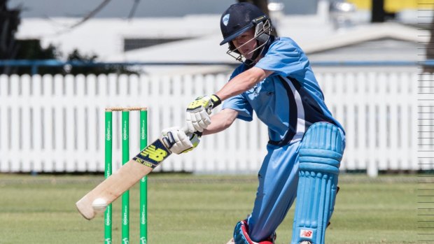 Following on: Austin Waugh, son of Steve, made a one-day ton at the under-17 championships.
