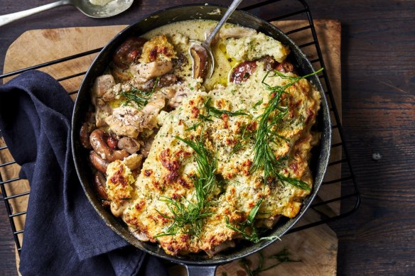 Mushroom braised chicken with horseradish and cheddar dumplings. 