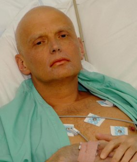 Former Russian security agent Alexander Litvinenko in his hospital bed at the University College Hospital in central London on November 20, 2006. He died two days later.