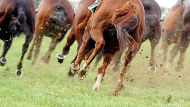 WA Labor says Racing Queensland's financial woes are a warning to Colin Barnett over the potential sale of the WA TAB.