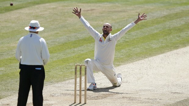 Appealing prospect: Nathan Lyon should find Trent Bridge to his liking.