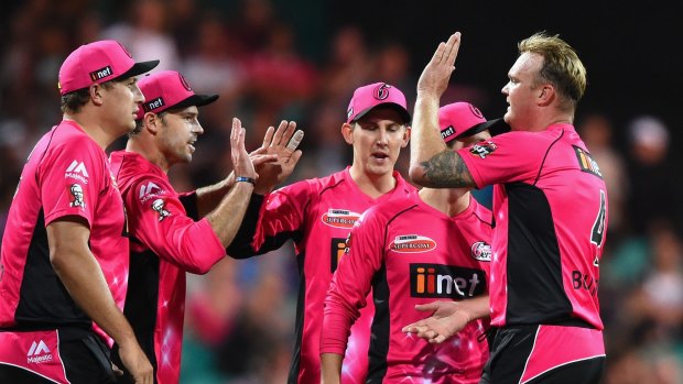 Time to cash in: There has been a call to privatise Big Bash teams.