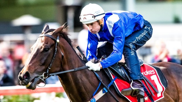 Big business: Hugh Bowman and Winx have a burgeoning profile away from the track.