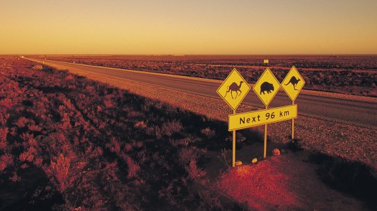 Flat and devoid of trees, the Nullarbor Plain is a very different place today from its wet-gum-and-banksia past, more than 3 million years ago.