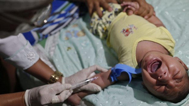 A municipal health worker on Tuesday draws blood from three-month-old Shayde Henrique, who was born with microcephaly, in Joao Pessoa, Brazil.