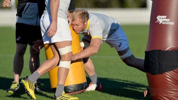 Big hitter: South Africa's Schalk Burger shapes up as one of the Springboks' main impact players against Australia on Saturday.