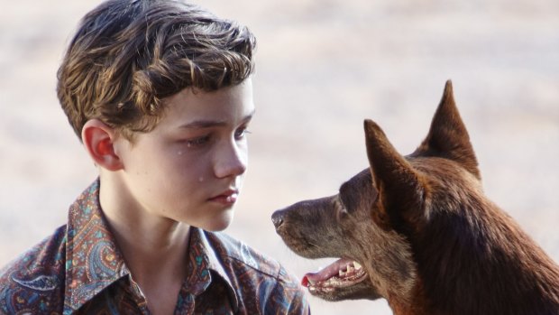Levi Miller and canine friend in <i>Red Dog: True Blue</i>.