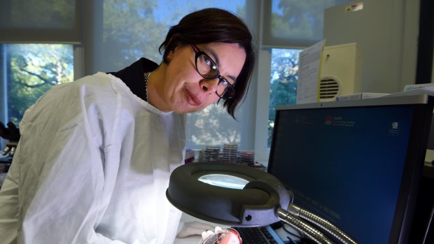 Rebecca Davis, an infectious disease physician at RPA hospital in Sydney, used genome mapping to trace a potentially deadly  outbreak in the neonatal unit to its source. 