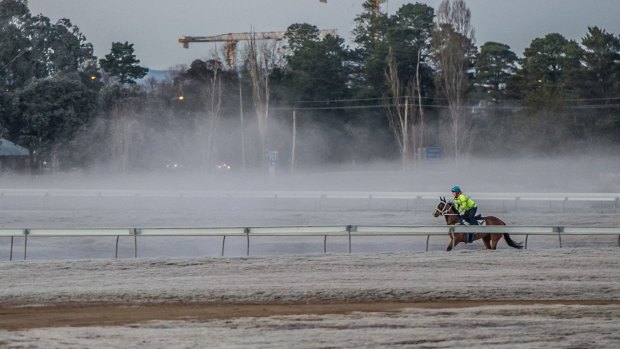 Trainer Paul Facoory's time in Canberra got off to a frosty start, but he saluted on his very first runner in the nation's capital.