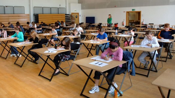Top-performing primary kids take on tough private school test