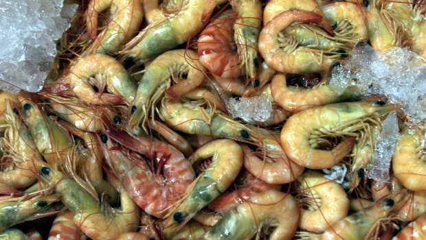 Prawns were caught in the potentially contaminated zone.