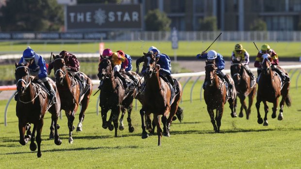 Streets ahead: Winx leads the field home at Randwick to make it 14 straight.