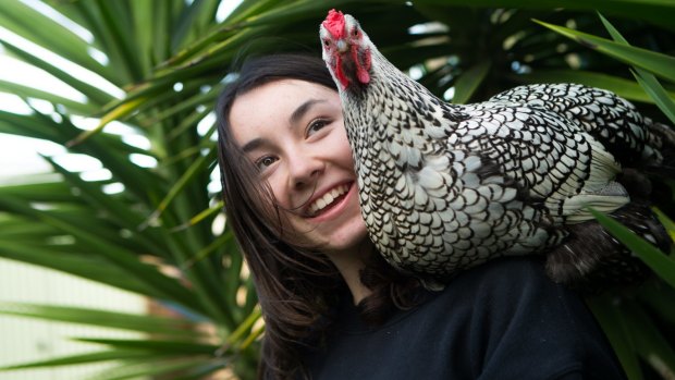 Angelina Popovski won her petition calling on supermarket giant Aldi to pull caged eggs from its shelves. 
