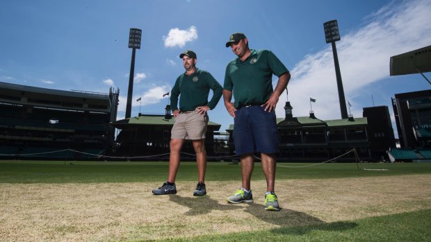 Adam Lewis and Justin Groves have been putting the finishing touches on their first Sydney Test wicket. 