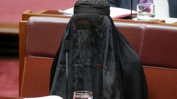 Senator Pauline Hanson earned the ire of colleagues for wearing the burqa during Senate question time.