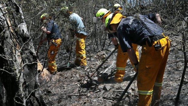 ACT Rural Fire Service and ACT Parks & Wildlife firefighters prepare a firebreak with hand tools.