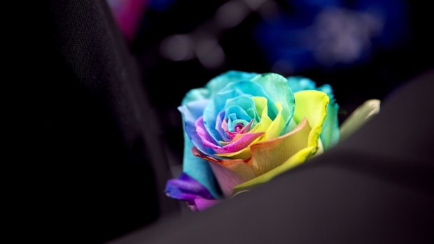 A rainbow-coloured rose decorates the lapel of a mourner following the funeral service for Christopher Andrew Leinonen.