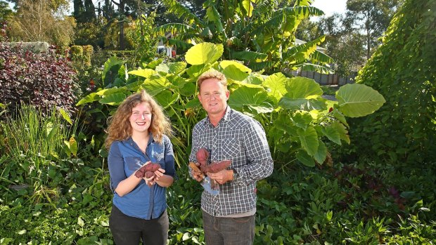 Horticulturist Dr Chris Williams and student-artist Sophie Lamond with the crop.