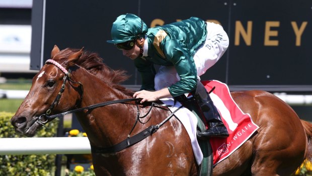 Big test: Star two-year-old Capitalist faces his biggest challenge on Saturday.