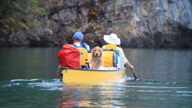 Dog paddle: On a canoe adventure.