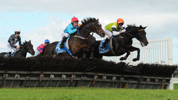 Sad end: Tuscan Fire (far right), ridden by Brad McLean, had to be put down after being injured in the Galleywood Hurdle.
