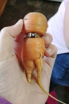 The famous carrot!