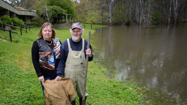 About 100km upstream of Ulupna in Wahgunyah, the owners of the Riverside Motel, Coral and Terry Young, sandbagged to fight the rising Murray River this week.