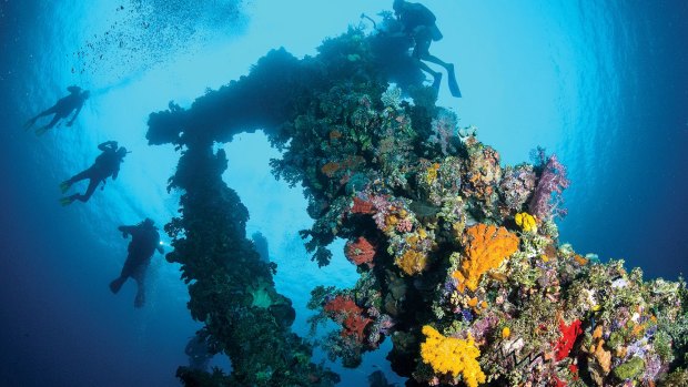 Scuba-diving in Indonesia with Lindblad Expeditions.