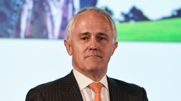 Communications Minister Malcolm Turnbull to visit Sunshine Coast on Friday