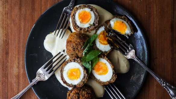 Curried scotch eggs.