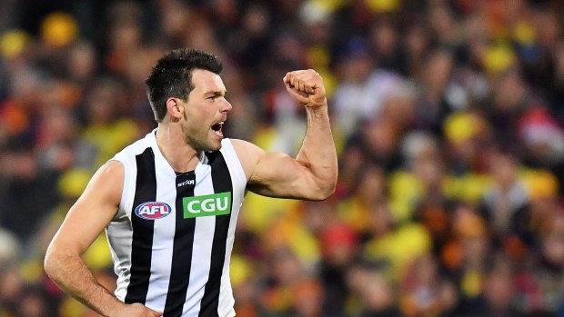 He's back: Levi Greenwood looks set to play for the Magpies against Sydney on Friday. 