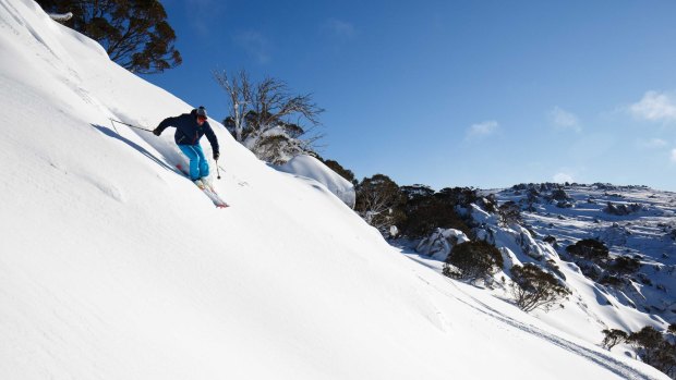 A skier at Thredbo takes advantage of the 5cm of snow that fell on the mountain last weekend.
