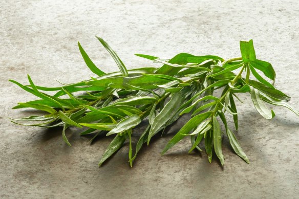 With a flavour that sits somewhere between anise and dill, fresh tarragon is a true taste of spring and summer.