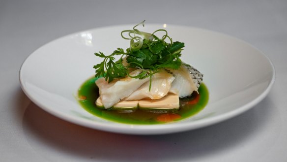 Steamed toothfish, silken tofu, ginger and spring onion.