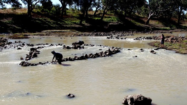 The Brewarrina fish traps on the Barwon River and also known in the local Aboriginal language as Ngunnhuare are estimated to be over 40000 years old. 