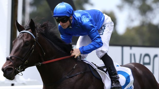 Slipper hope: Exosphere blitzed the field in Saturday's Skyline Stakes at Warwick Farm.