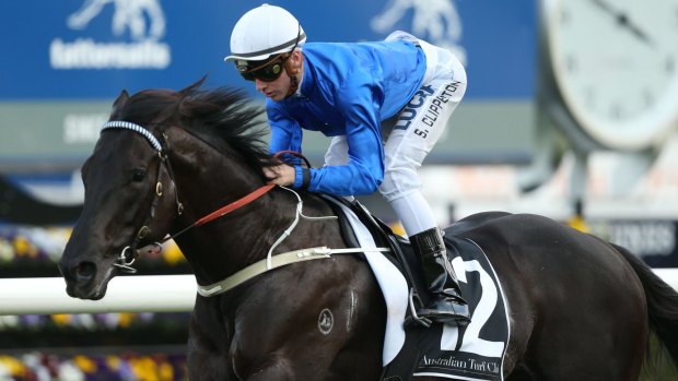 Worth a call: Complacent's stellar win in the Craven Plate had the Godolphin team buzzing.