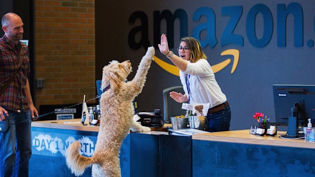 Chris Clare and his dog, Crosby, greet receptionist Andrea Kraus on Amazon's pet-friendly campus in Seattle.