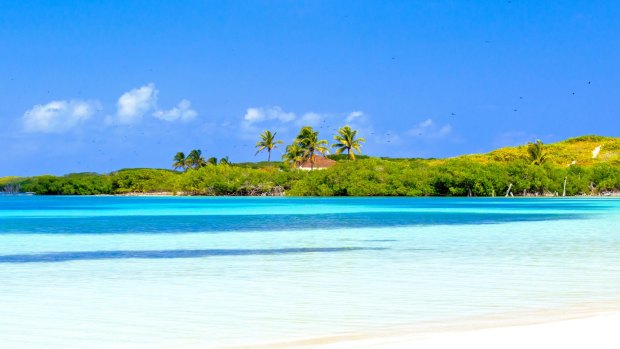 Contoy Island National Park, Mexico.