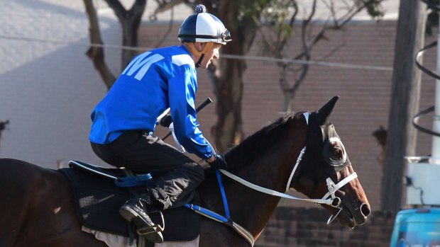 Strong work: Winx.