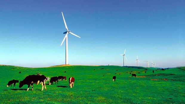 Nexif Energy's ambitions in Australia include conventional power as well as renewables.