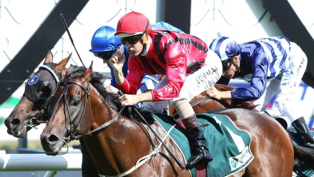 Still proving them wrong: Hallowed Crown will be closely marked in the Rosehill Guineas.
