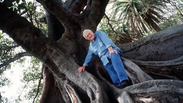Tom Uren in a park in Balmain, where he loved to walk along the foreshore and streets.