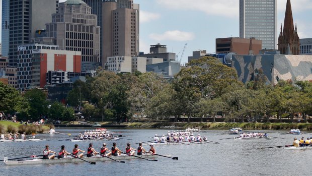 Crews lining up for the start of the Yarra Head of the River rowing classic.