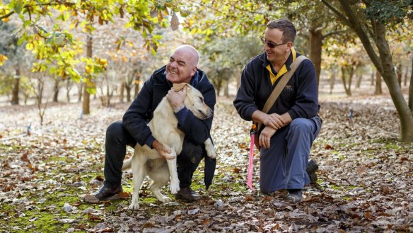Chef Mark Best (left) and Australian Truffle Traders' Gavin Booth on a hunt in Manjimup, WA.
