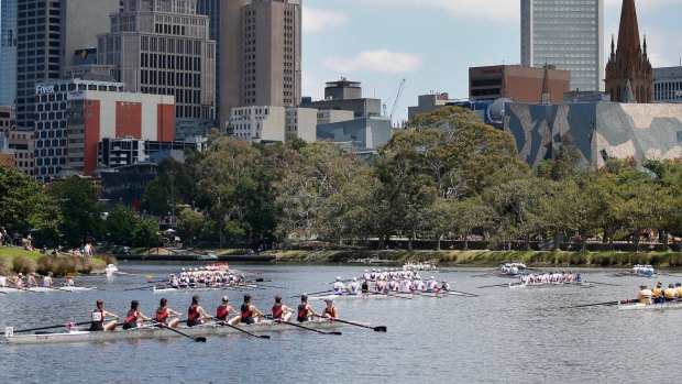 Crews lining up for the start of the Yarra Head of the River rowing classic.