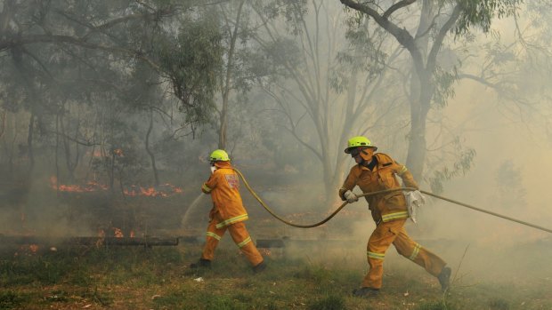 Bushfire numbers in the ACT dropped over the past year compared with the previous period.